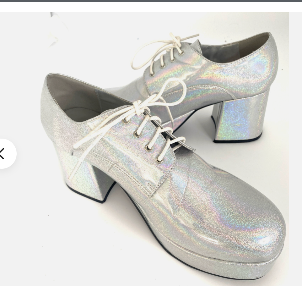Mens Silver IRREDESCENT Platform Shoes 60's vintage RETRO