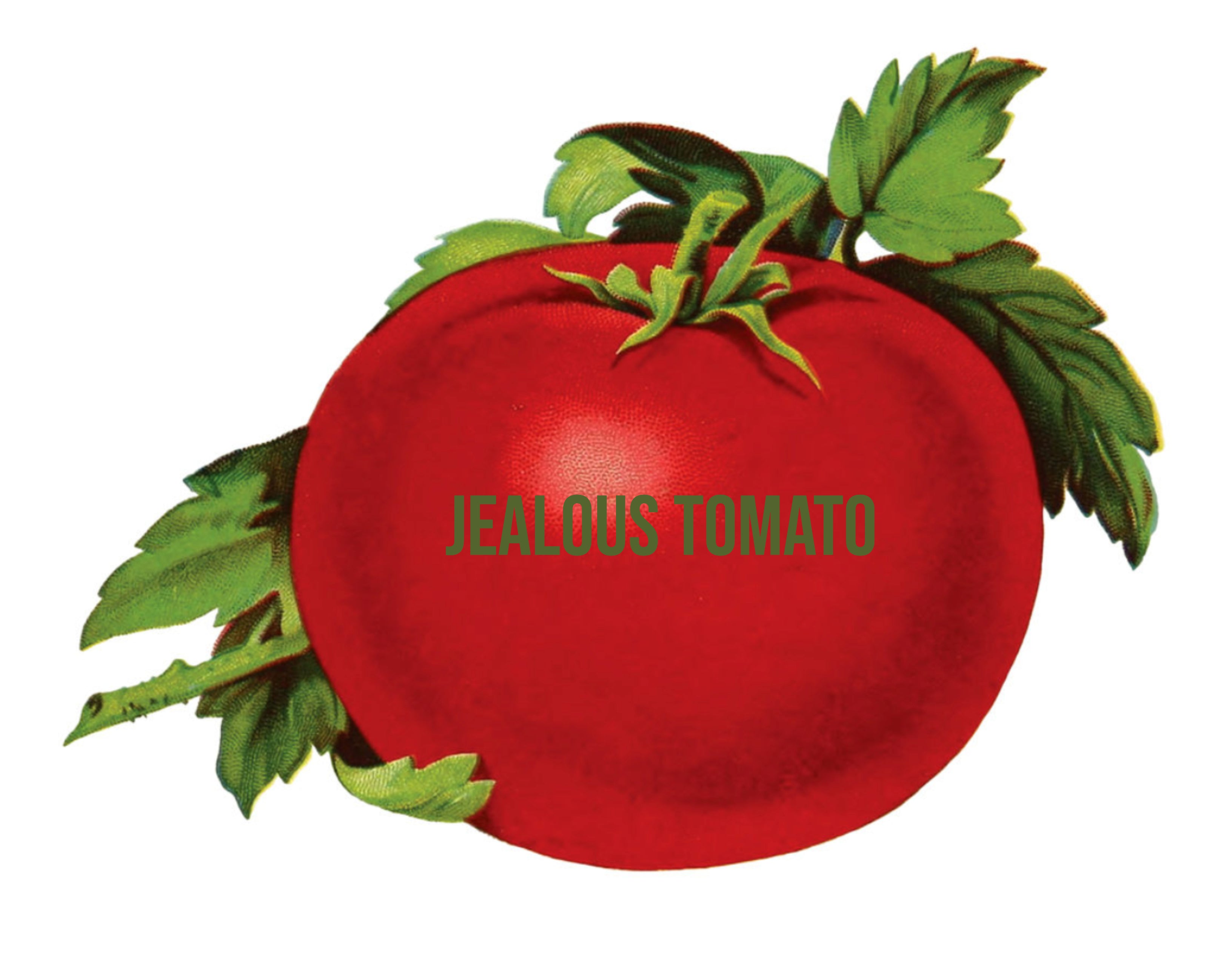 JEALOUS TOMATO