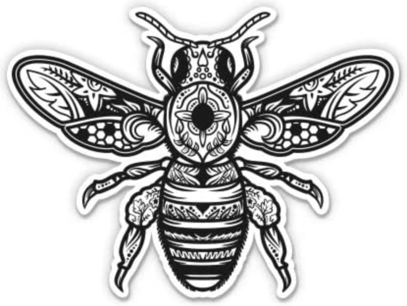 FANCY FLY