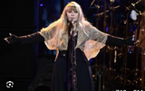 STEVIE NICKS Fitted Cap Sleeve Slub Tee
