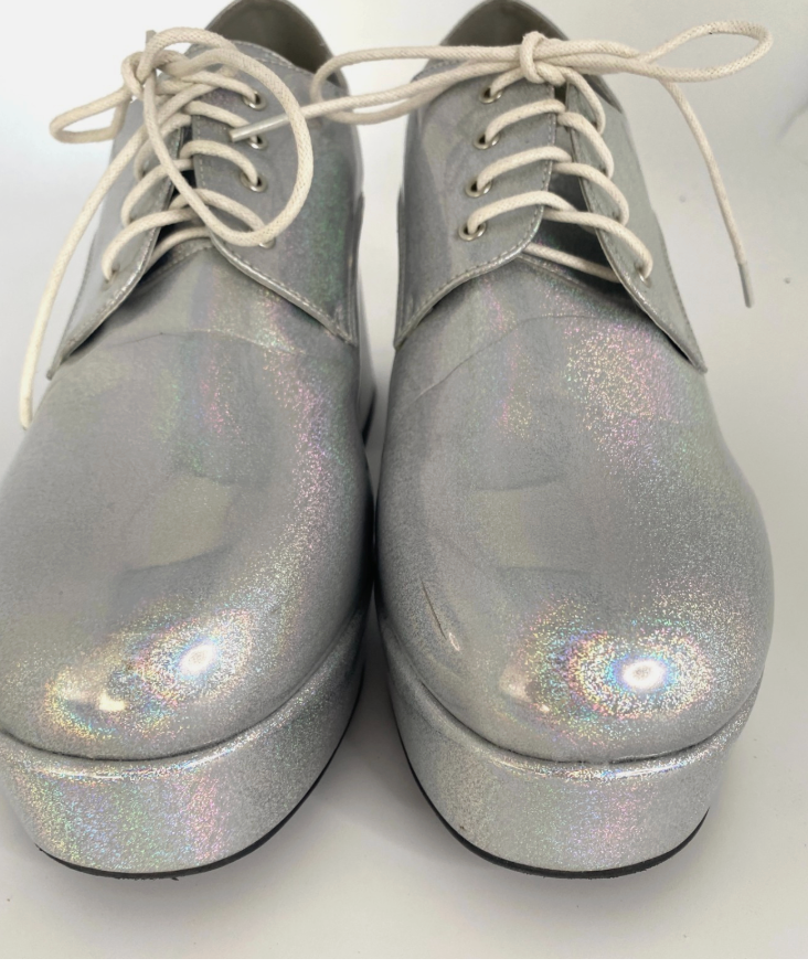 Mens Silver IRREDESCENT Platform Shoes 60's vintage RETRO