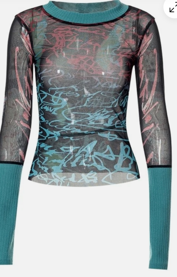 Long Sleeve Semi Sheer Graphic Top