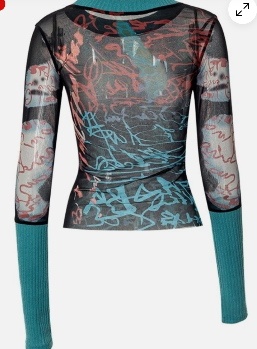 Long Sleeve Semi Sheer Graphic Top