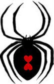 BLACK WIDOW LOVE