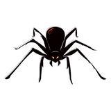 NOT SO ITSY BITSY!