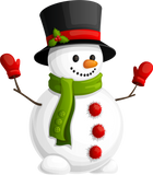 MR SNOWMAN!